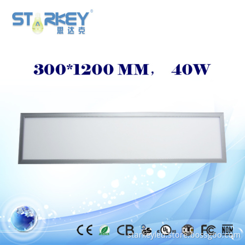40W LED Panel Light 300*1200mm